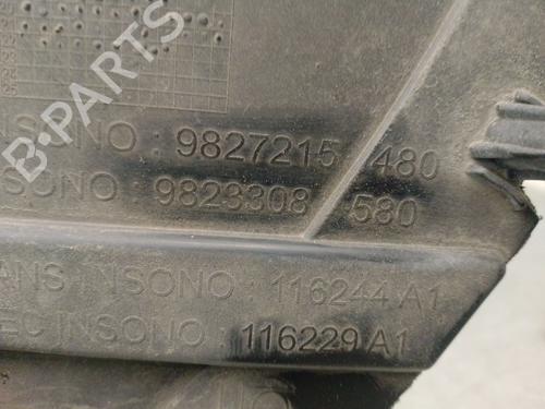 Wheel arch PEUGEOT 208 II (UB_, UP_, UW_, UJ_) 1.2 PureTech 100 | BP19052877C56 