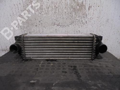 Used Intercooler Intercooler FORD TRANSIT CONNECT (P65_, P70_, P80_) 1.8 TDCi (110 hp) 9158000 9158000