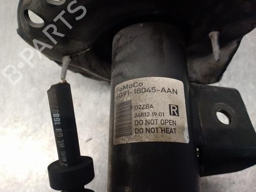 Right front shock absorber FORD S-MAX (WA6) 1.6 EcoBoost | BP17587744M17 