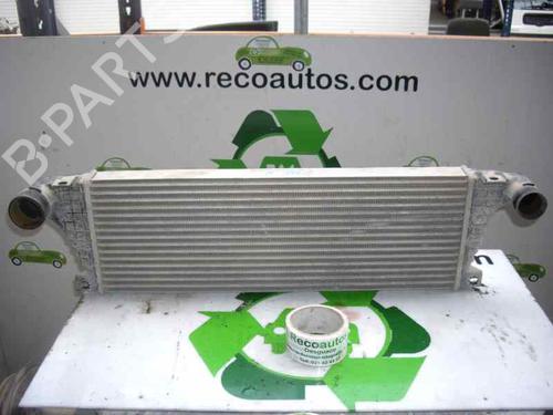 Intercooler SANTANA PS10/ANIBAL Open Off-Road Vehicle  | BP11925094M30 