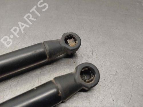 Tailgate lift support LAND ROVER DISCOVERY III (L319) 2.7 TD 4x4 | BP18346354C138 
