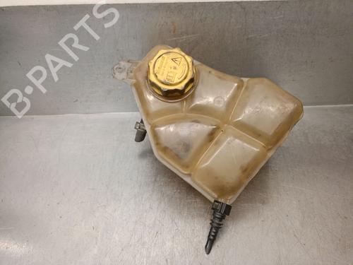 Used Expansion tank FORD FUSION (JU_) 1.4 TDCi (68 hp) 19745337