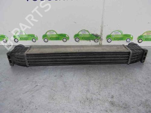 Intercooler SEAT ALHAMBRA (7V8, 7V9) 1.9 TDI | BP2098635M30 