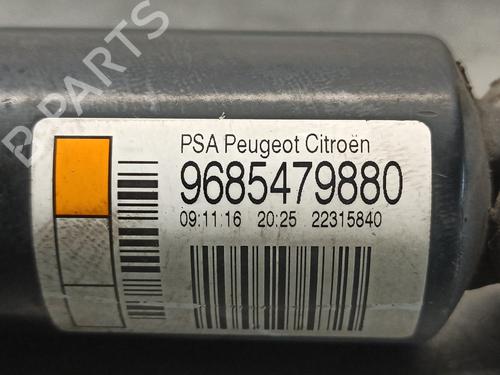 Left rear shock absorber CITROËN DS3 (SA_)  | BP17673007M18 