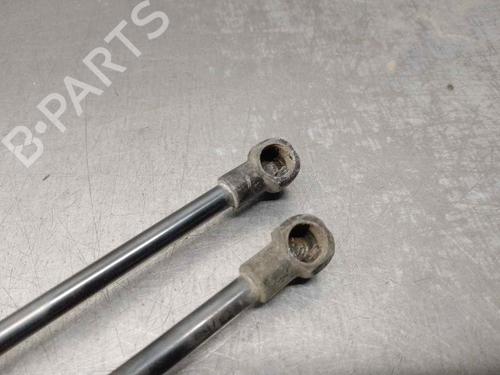 Tailgate lift support LAND ROVER DISCOVERY III (L319) 2.7 TD 4x4 | BP18349560C138 