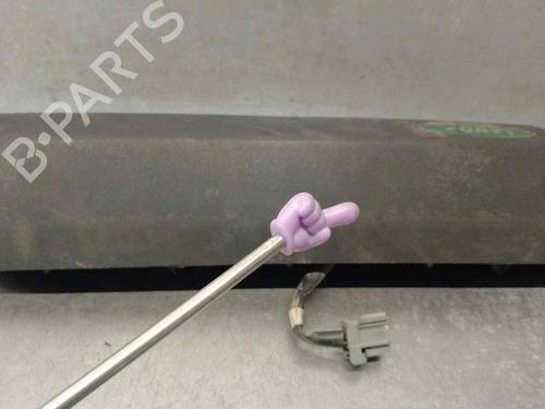 Tailgate handle LAND ROVER DISCOVERY III (L319) 2.7 TD 4x4 | BP18343561C132 