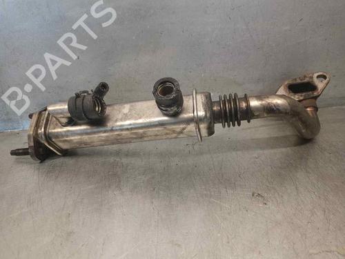 Egr NISSAN X-TRAIL I (T30)  | BP18707291M69 