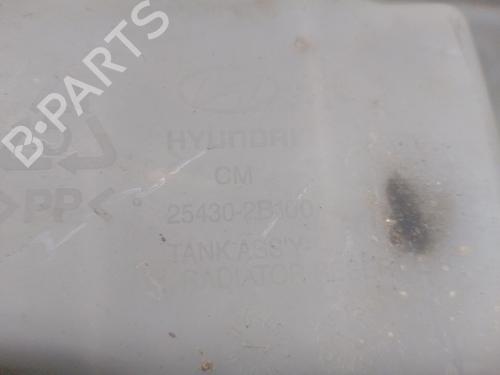 Expansion tank HYUNDAI SANTA FÉ II (CM) 2.2 CRDi | BP19495331C120 