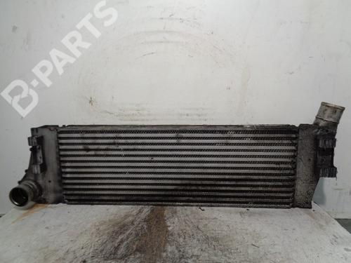 Used Intercooler Intercooler RENAULT GRAND SCÉNIC II (JM0/1_) 1.9 dCi (JM0G, JM12, JM1G, JM2C) (120 hp) 10212153 10212153