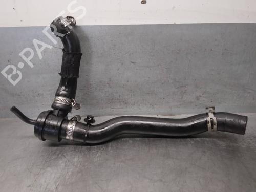Used Pipe RENAULT MEGANE III Hatchback (BZ0/1_, B3_) 1.2 TCe (BZ2B, BZ11) (116 hp) 17898466