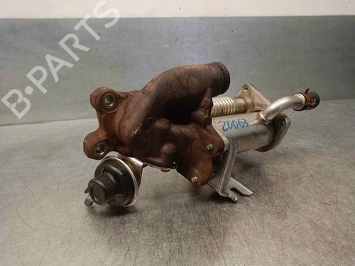Egr RENAULT SCÉNIC III (JZ0/1_) 1.5 dCi (JZ02, JZ0R) | BP18051547M69 