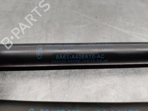 Tailgate lift support FORD FIESTA VI (CB1, CCN)  | BP18536984C138 