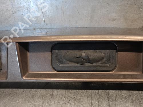 Tailgate handle RENAULT SCÉNIC III (JZ0/1_) 1.5 dCi (JZ02, JZ0R) | BP18054041C132 