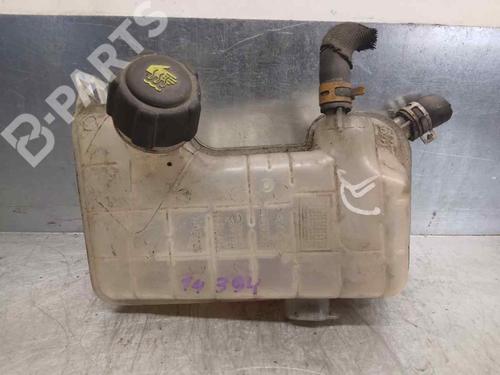 Used Expansion tank Expansion tank RENAULT SCÉNIC II (JM0/1_) 2.0 dCi (JM1K) (150 hp) 8922066 8922066
