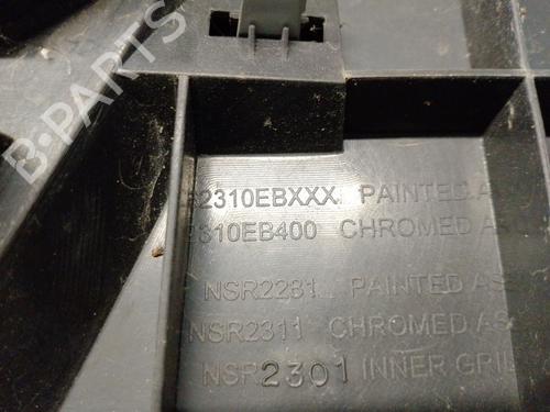 Grille NISSAN PATHFINDER III (R51) 2.5 dCi | BP19023640C40 
