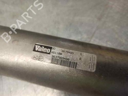 Egr CITROËN C5 I (DC_) 2.2 HDi (DC4HXB, DC4HXE) | BP6002156M69 