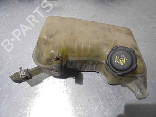 Ekspansjonstank RENAULT MEGANE II (BM0/1_, CM0/1_) 1.9 dCi (BM0G, CM0G) (120 hp) 2056205