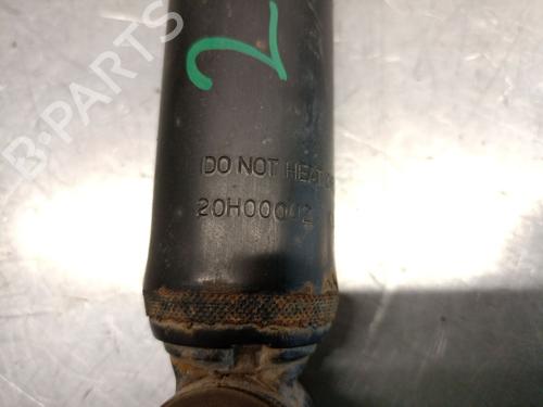 Left rear shock absorber FORD FOCUS C-MAX (DM2) 1.6 TDCi | BP19085025M18 