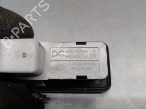 Tailgate handle RENAULT CAPTUR II (HF_) TCe 100 (HFMT) | BP17774961C132 