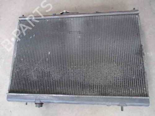 Water radiator MITSUBISHI SPACE WAGON (N9_W, N8_W)  | BP2550603M31 