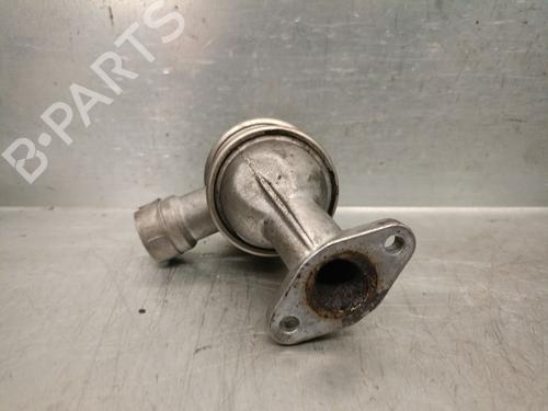Egr BMW 3 (E46) 318 i | BP19704477M69 