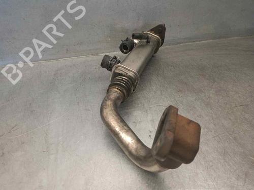 Egr NISSAN X-TRAIL I (T30)  | BP18707291M69 