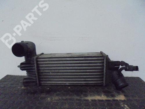 Used Intercooler Intercooler PEUGEOT 406 (8B) 2.0 HDI 110 (109 hp) 10001626 10001626