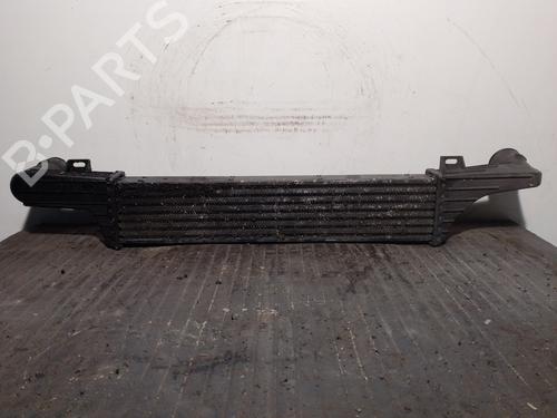 Intercooler MERCEDES-BENZ E-CLASS (W210) E 290 Turbo-D (210.017) | BP18880089M30 