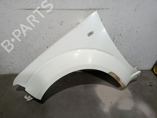 Used Left front fenders NISSAN PATHFINDER III (R51) 2.5 dCi (174 hp) 19059648