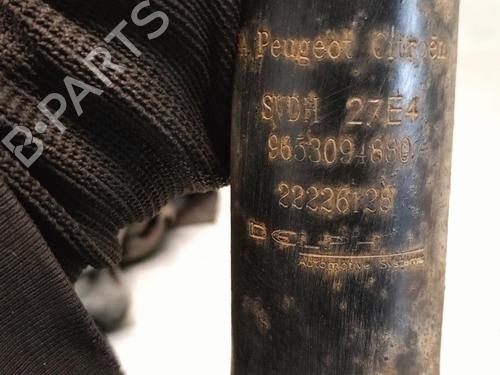 Left rear shock absorber CITROËN C3 I (FC_, FN_) 1.4 i | BP17865634M18 