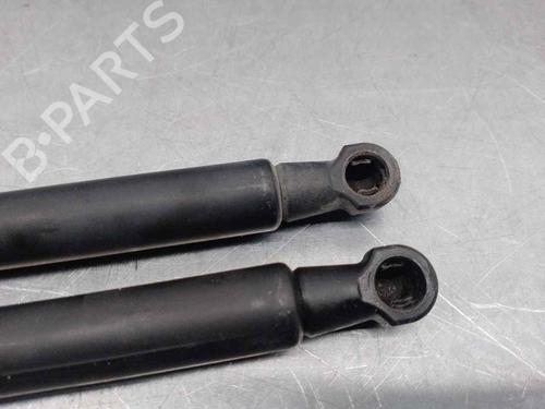 Tailgate lift support NISSAN QASHQAI / QASHQAI +2 I (J10, NJ10, JJ10E) 2.0 dCi | BP18101597C138 