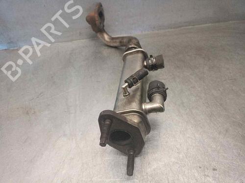 Egr NISSAN X-TRAIL I (T30)  | BP18707291M69 