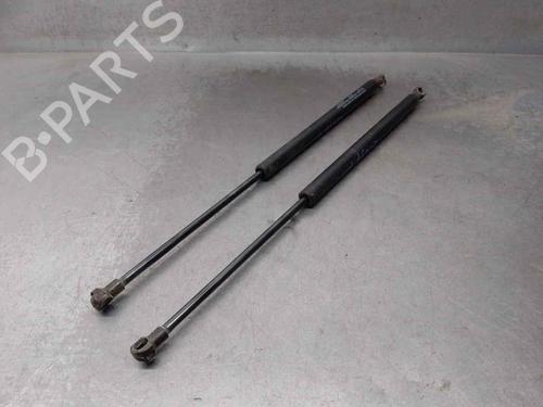 Tailgate lift support LAND ROVER DISCOVERY III (L319) 2.7 TD 4x4 | BP18349560C138 