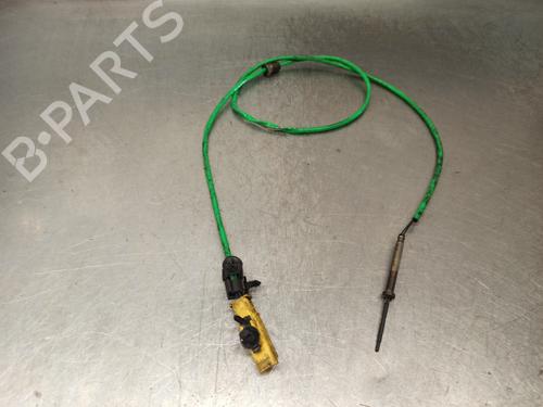 Elektronensonde LAND ROVER RANGE ROVER VELAR (L560) 2.0 D240 SD4 4x4 (241 hp) 17824901