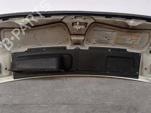 Hood FIAT DUCATO Van (250_) 100 Multijet 2,2 D | BP18735786C1 