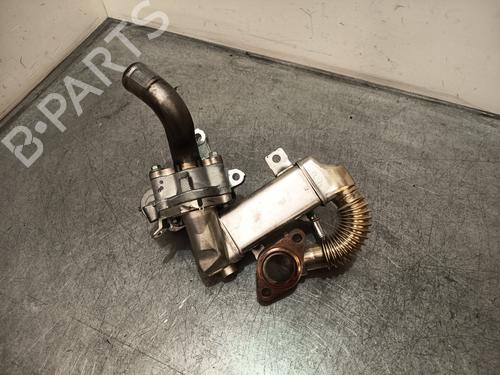 Egr NISSAN QASHQAI / QASHQAI +2 I (J10, NJ10, JJ10E)  | BP28196457M69 