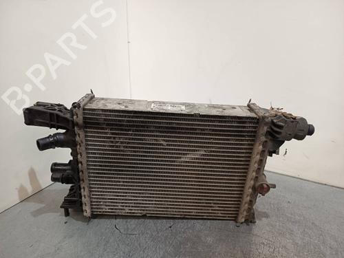 Water radiator DACIA LODGY (JS_) | BP40515480M31 - Image 2