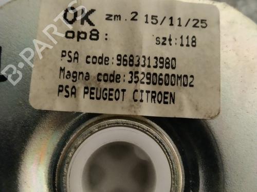 Tailgate lift support PEUGEOT 3008 I MPV (0U_) 1.6 BlueHDi 120 | BP23000035C138 