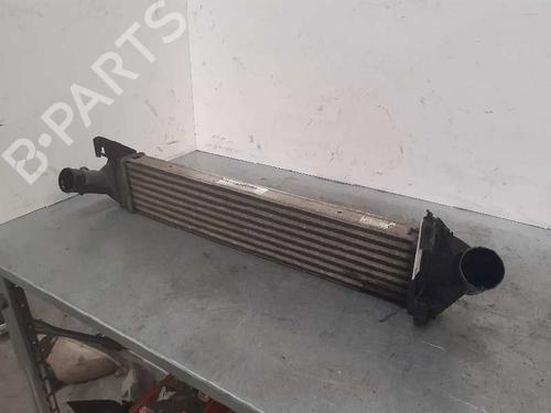 Intercooler DACIA SANDERO  | BP5241765M30