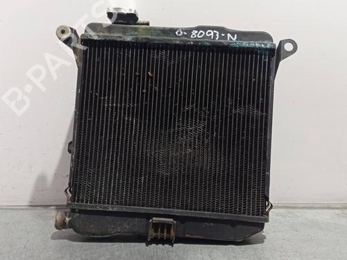 Water radiator SEAT 127 (127A)  | BP29641296M31 