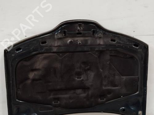 Hood RENAULT LAGUNA II Grandtour (KG0/1_) 1.9 dCi (KG0G) | BP2248926C1 