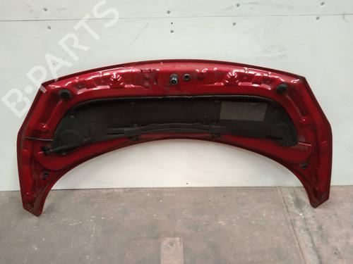 Hood RENAULT GRAND SCÉNIC II (JM0/1_) 1.9 dCi | BP2250858C1 