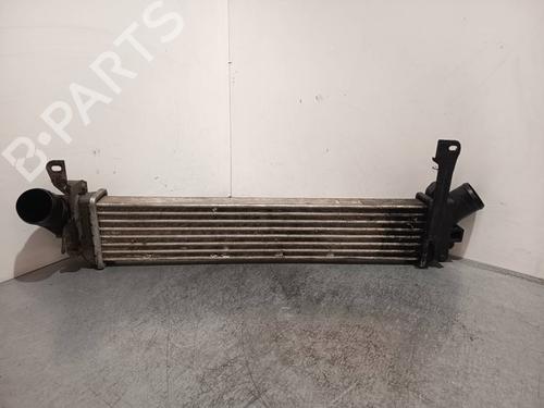 Used Intercooler Intercooler NISSAN KUBISTAR Van (X76) dCi 85 (84 hp) 40226459 40226459