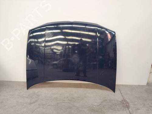 Used Hood VW GOLF IV (1J1) 1.9 TDI (90 hp) 15279142