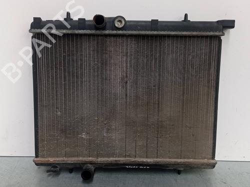 Køler PEUGEOT 206 Hatchback (2A/C) 1.4 LPG (75 hp) 12951579