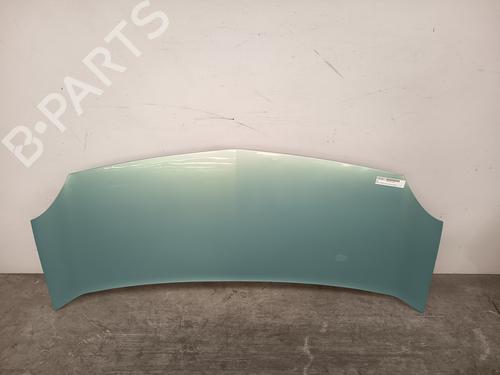 Hood RENAULT KANGOO / GRAND KANGOO II (KW0/1_) 1.5 dCi 85 (KW0K, KW0L, KW0B) | BP28196446C1 
