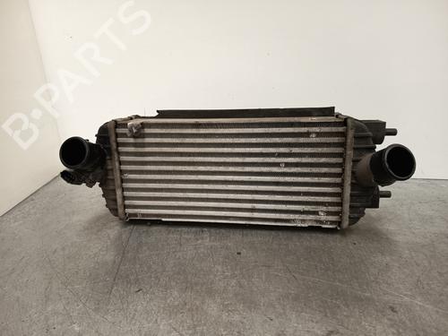 Used Intercooler KIA CARENS IV 1.7 CRDi (116 hp) 27660878