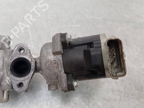 Egr LAND ROVER RANGE ROVER SPORT I (L320) 2.7 D 4x4 | BP17047675M69 