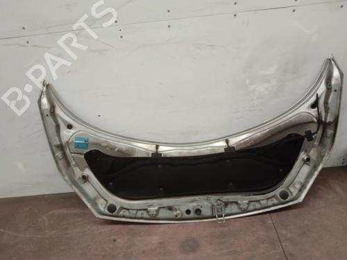 Hood RENAULT SCÉNIC II (JM0/1_) 1.9 dCi (JM0G, JM12, JM1G, JM2C) | BP2257725C1 