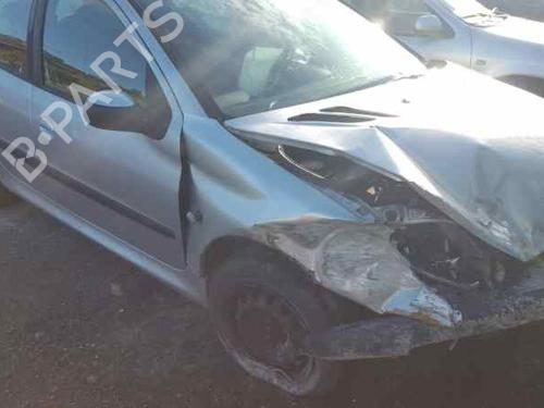 Right front door PEUGEOT 206 Hatchback (2A/C) 1.4 LPG | BP2247870C3 